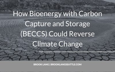 How Bioenergy with Carbon Capture and Storage (BECCS) Could Reverse Climate Change