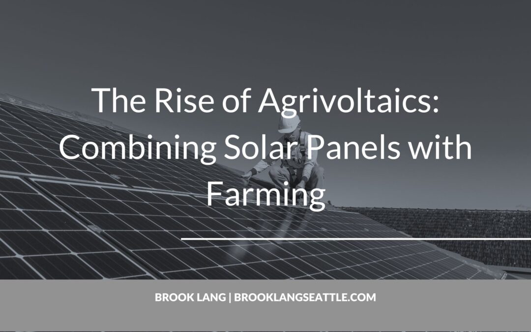 The Rise of Agrivoltaics: Combining Solar Panels with Farming